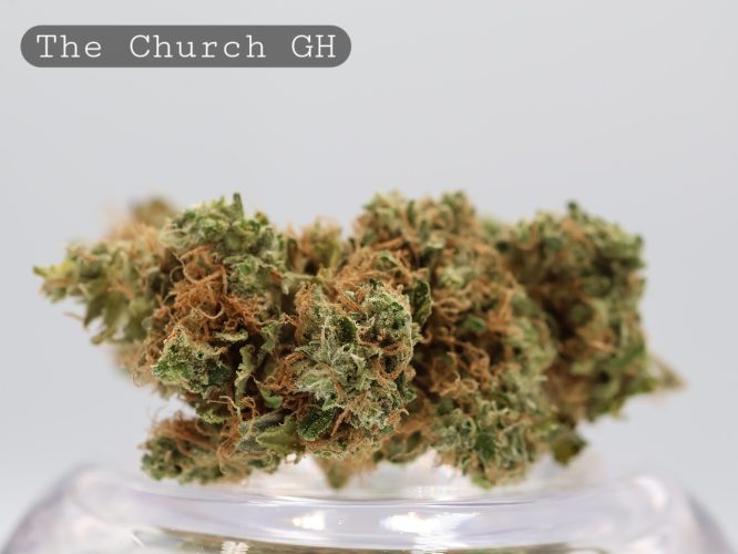 Greenhouse The Church per 2g_Greenhouse Bud_Cannabis Flower_Bud_The Dope Warehouse