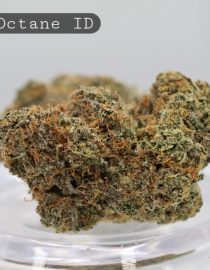 Indoor-High-Octane_Cannabis-Flower_The-Dope-Warehouse
