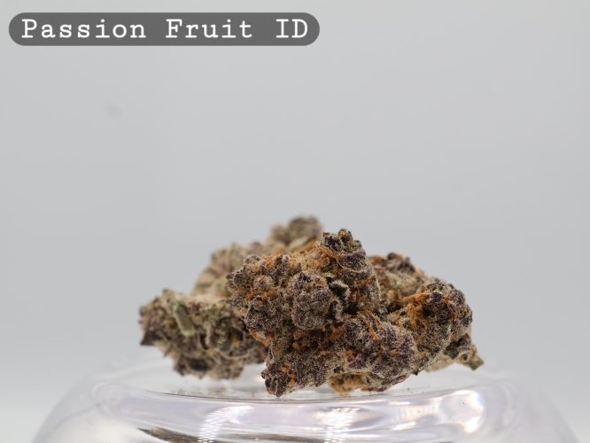 Indoor Passion Fruit_Cannabis Bud_Hydro Cannabis_The dope warehouse