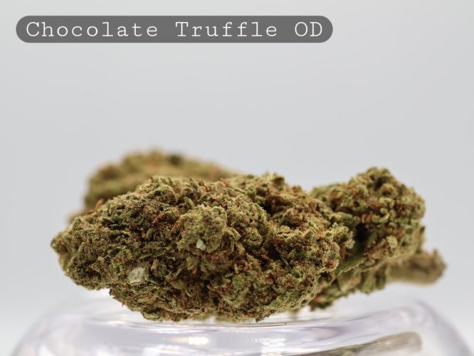 Outdoor Chocolate Truffle_Greenhouse Flower_Greenhouse Bud_Cannabis_Cbd and THC Products_Kush_Weed_Bud_The Dope Warehouse
