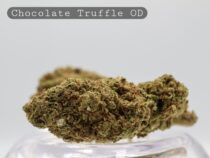 Outdoor Chocolate Truffle_Greenhouse Flower_Greenhouse Bud_Cannabis_Cbd and THC Products_Kush_Weed_Bud_The Dope Warehouse
