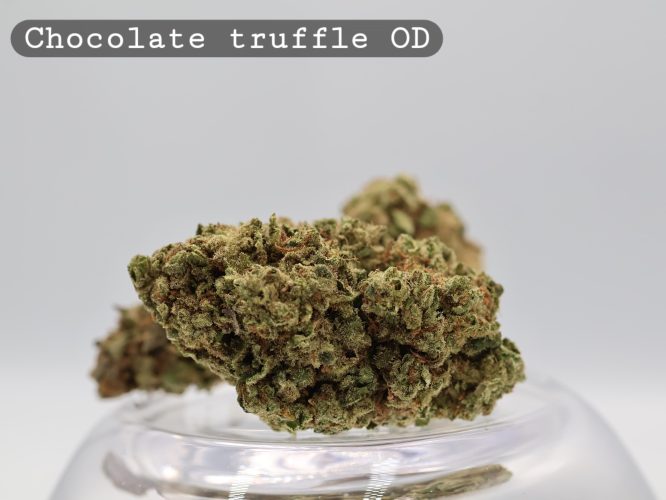 Outdoor Chocolate Truffle_Outdoor Flower_Bud_Cannabis_The Dope Warehouse