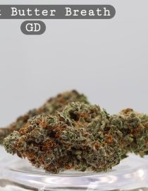 Peanut Butter Breath_Cannabis Bud_Buy Weed_Greendoor_The dope warehouse