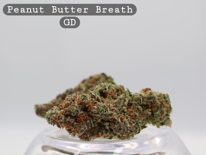 Peanut Butter Breath_Cannabis Bud_Buy Weed_Greendoor_The dope warehouse