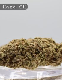 Greenhouse Berry Haze_Greenhouse Flower_Greenhouse Bud_Cannabis_Cbd and THC Products_Kush_Weed_Bud_The Dope Warehouse