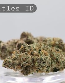 Indoor Zkittlez_Hydro Cannabis_Premium Indoor Weed_Cannabis Bud_Cannabis Flower_The Dope Warehouse