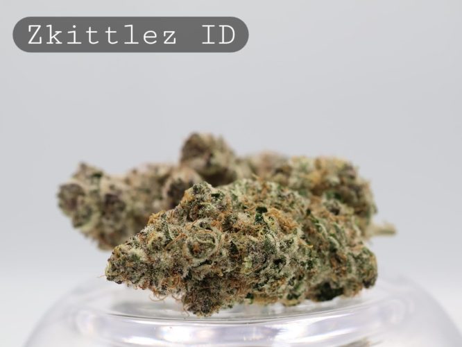 Indoor Zkittlez_Hydro Cannabis_Premium Indoor Weed_Cannabis Bud_Cannabis Flower_The Dope Warehouse