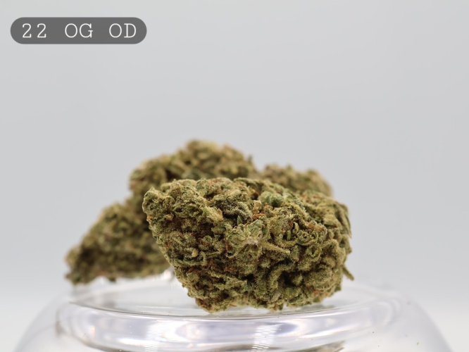 Outdoor 22 OG per 2g_Outdoor Cannabis Flower_Cannabis Bud_The Dope Warehouse