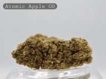 Outdoor Atomic Apple per 2g_Outdoor Cannabis Flower_Cannabis Bud_The Dope Warehouse - The Dope Warehouse Outdoor Atomic Apple per 2g_Outdoor Cannabis Flower_Cannabis Bud_The Dope Warehouse