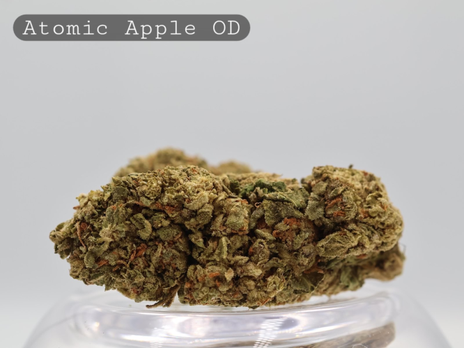 Outdoor Atomic Apple per 2g_Outdoor Cannabis Flower_Cannabis Bud_The Dope Warehouse