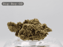 Outdoor Big Boy per 2g_Outdoor Cannabis Flower_Cannabis Bud_The Dope Warehouse - The Dope Warehouse Outdoor Big Boy per 2g_Outdoor Cannabis Flower_Cannabis Bud_The Dope Warehouse