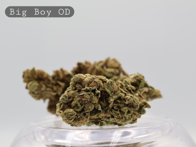 Outdoor Big Boy per 2g_Outdoor Cannabis Flower_Cannabis Bud_The Dope Warehouse