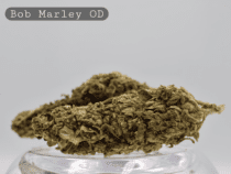 Outdoor Bob Marley_Outdoor Cannabis Flower_Cannabis Bud_The Dope Warehouse - The Dope Warehouse Outdoor Bob Marley_Outdoor Cannabis Flower_Cannabis Bud_The Dope Warehouse