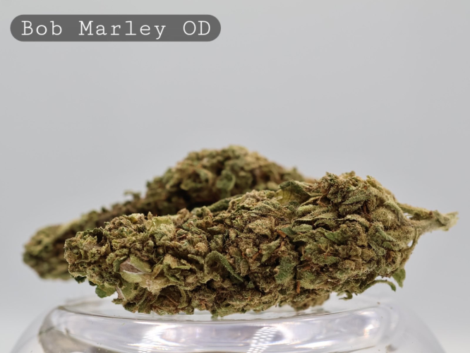 Outdoor Bob Marley_Outdoor Cannabis Flower_Cannabis Bud_The Dope Warehouse