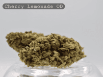 Outdoor Cherry Lemonade_Outdoor Cannabis Flower_Cannabis Bud_The Dope Warehouse - The Dope Warehouse Outdoor Cherry Lemonade_Outdoor Cannabis Flower_Cannabis Bud_The Dope Warehouse