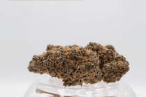 Greendoor-Hazy-Margarita_Greendoor_AAA-weed_Cannabis-Bud_weed_The-dope-warehouse - The Dope Warehouse Greendoor-Hazy-Margarita_Greendoor_AAA-weed_Cannabis-Bud_weed_The-dope-warehouse