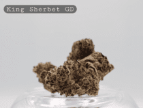 Greendoor King Sherbet _AAA Flower_Greendoor Flower_Cannabis Bud_The Dope Warehouse