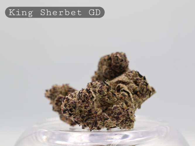 Greendoor King Sherbet _AAA Flower_Greendoor Flower_Cannabis Bud_The Dope Warehouse