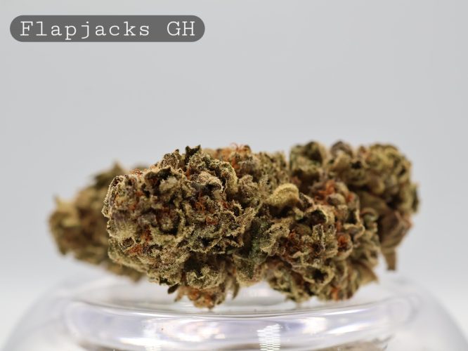 Greenhouse Flapjacks_Greenhouse Flower_Greenhouse Bud_GH Kush and weed, Greenhouse Cannabis_The Dope Warehouse