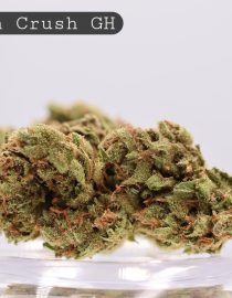 Greenhouse Green Crush_Greenhouse Bud_ Cannabis_Cannabis FLower_the dope warehouse