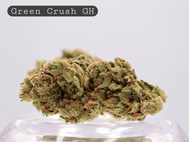 Greenhouse Green Crush_Greenhouse Bud_ Cannabis_Cannabis FLower_the dope warehouse