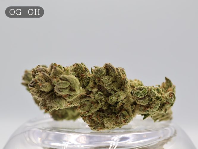 Greenhouse OG _Greenhouse Flower_Greenhouse Bud_GH Kush and weed, Greenhouse Cannabis_The Dope Warehouse