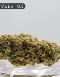 Greenhouse Oreo Cake_Greenhouse Cannabis Bud_Greenhouse Flower_The Dope Warehouse