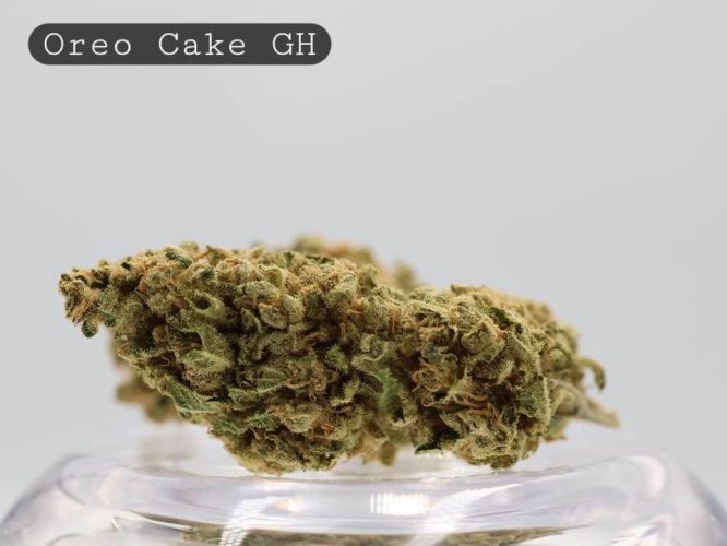 Greenhouse Oreo Cake_Greenhouse Cannabis Bud_Greenhouse Flower_The Dope Warehouse