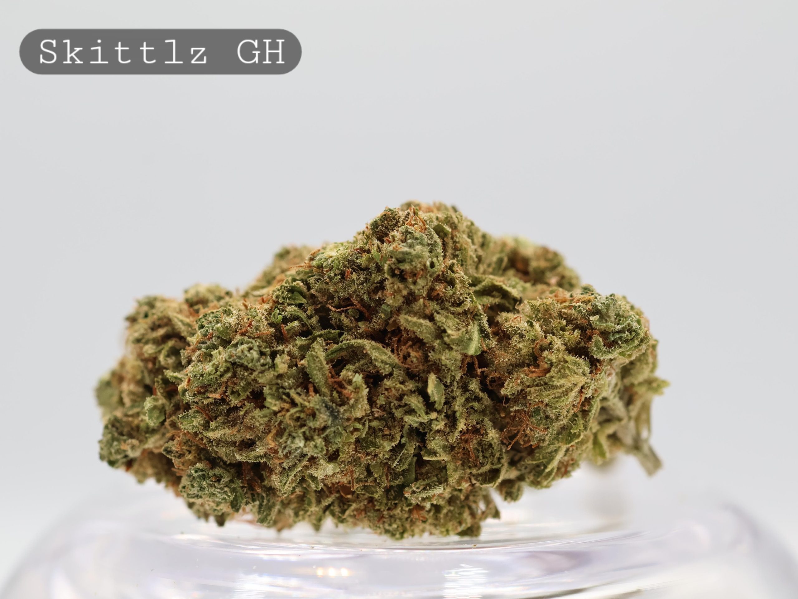 Greenhouse Skittlz 2g_Greenhouse Flower_Greenhouse Bud_Cannabis_Cbd and THC Products_Kush_Weed_Bud_The Dope Warehouse Greenhouse Skittlz 2g_Greenhouse Flower_Greenhouse Bud_Cannabis_Cbd and THC Products_Kush_Weed_Bud_The Dope Warehouse