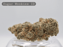 Indoor Sugar Wookies_Hydro Indoor_Indoor Flower_Cannabis Bud_The Dope Warehouse - The Dope Warehouse Indoor Sugar Wookies_Hydro Indoor_Indoor Flower_Cannabis Bud_The Dope Warehouse
