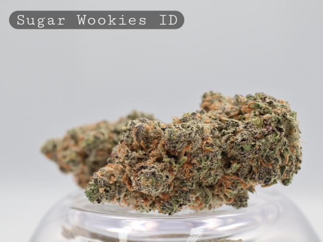 Indoor Sugar Wookies_Hydro Indoor_Indoor Flower_Cannabis Bud_The Dope Warehouse