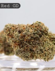 Greendoor Code Red_Greendoor Bud_Greendoor Cannabis_The Dope Warehouse