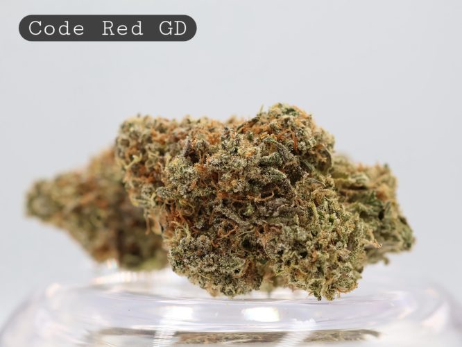 Greendoor Code Red_Greendoor Bud_Greendoor Cannabis_The Dope Warehouse