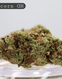 Greenhouse Blunicorn_Greenhouse Bud_Cannabis_TheDopeWarehouse