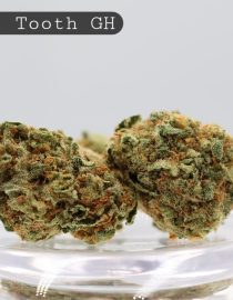 Greenhouse Sweet Tooth_Greenhouse Bud_Greenhouse Flower_Weed_The Dope Warehouse