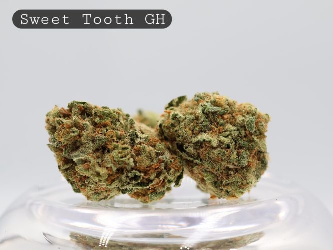 Greenhouse Sweet Tooth_Greenhouse Bud_Greenhouse Flower_Weed_The Dope Warehouse