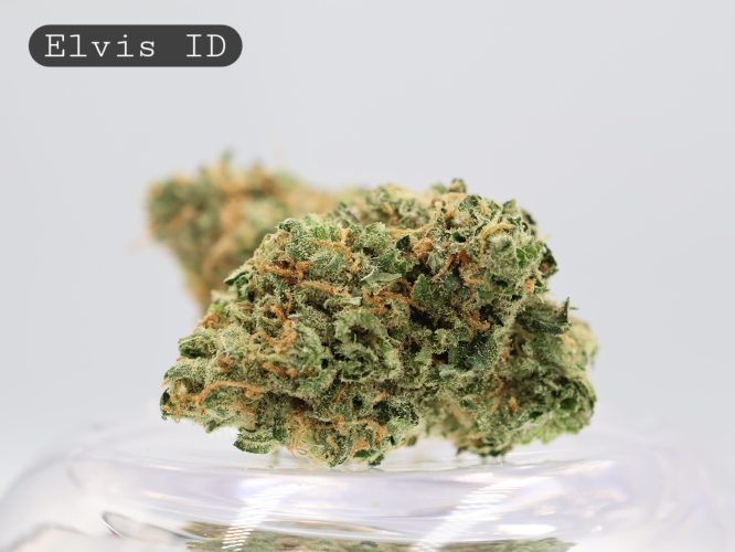 Indoor Elvis_Cannabis Bud_Indoor_Hydro Cannabis_Premium Indoor Flower_The Dope Warehouse