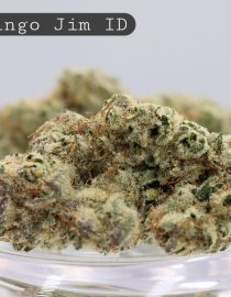 Indoor Flamingo Jim_Indoor Flower_Hydro Bud_Indoor Cannabis_Indoor Weed_Flower_Bud_The Dope Warehouse