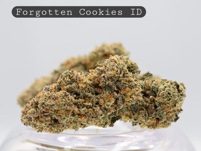 Indoor Forgotten Cookies_Indoor Flower_Hydro Bud_Indoor Cannabis_Indoor Weed_Flower_Bud_The Dope Warehouse