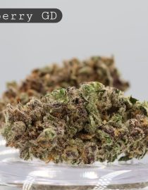 Greendoor-Blueberry_Cannabis-Flower_The-Dope-Warehouse