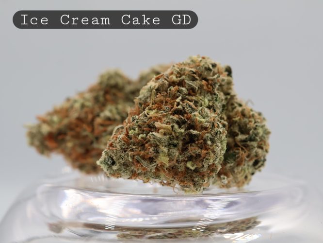 Greendoor-Ice-Cream-Cake_Cannabis-Flower_The-Dope-Warehouse