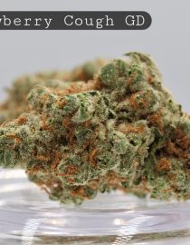 Greendoor-Strawberry-Cough_Cannabis-Flower_The-Dope-Warehouse
