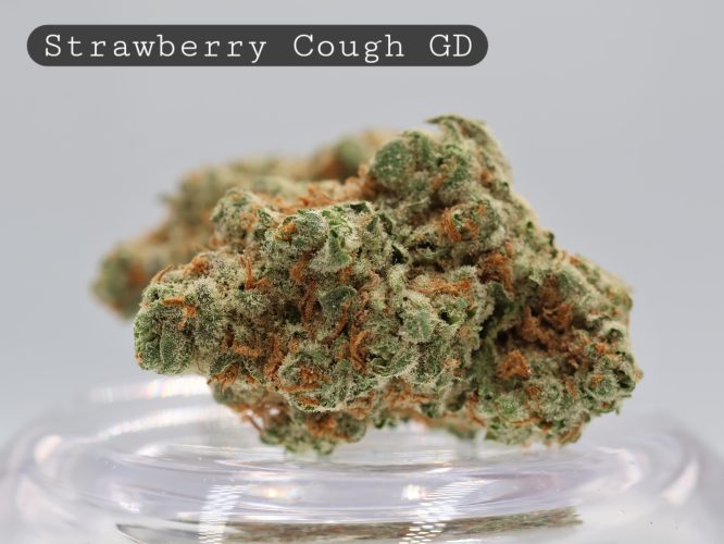 Greendoor-Strawberry-Cough_Cannabis-Flower_The-Dope-Warehouse