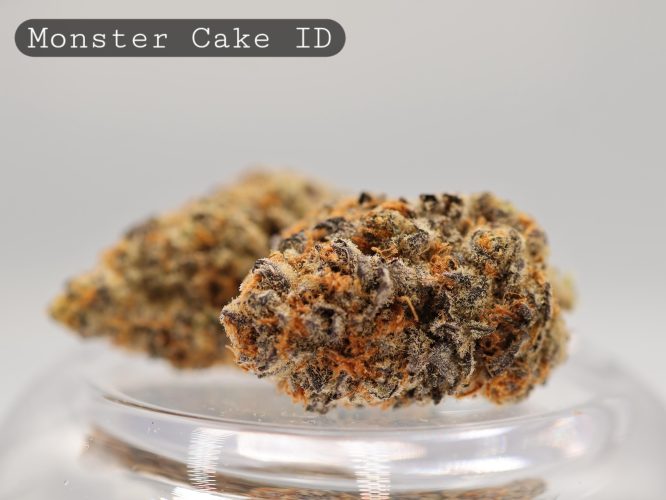 Indoor-Monster-Cake_Cannabis-Flower_The-Dope-Warehouse