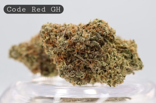 Greenhouse-Code-Red_Cannabis-Flower_The-Dope-Warehouse