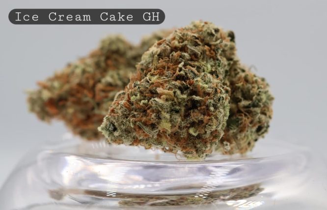 Greenhouse-Ice-Cream-Cake_Cannabis-Flower_The-Dope-Warehouse