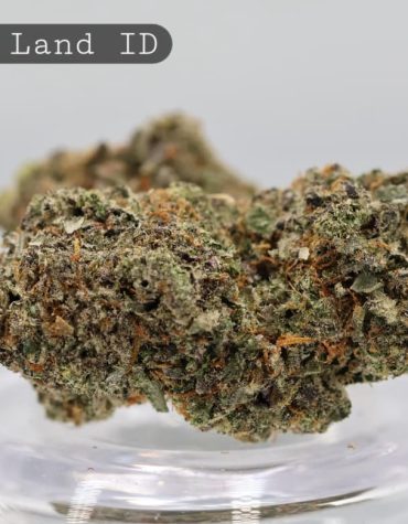 Indoor-Candy-Land_Cannabis-Flower_The-Dope-Warehouse