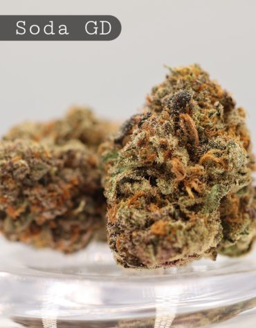 Greendoor-Grape-Soda_Cannabis-Flower_The-Dope-Warehouse