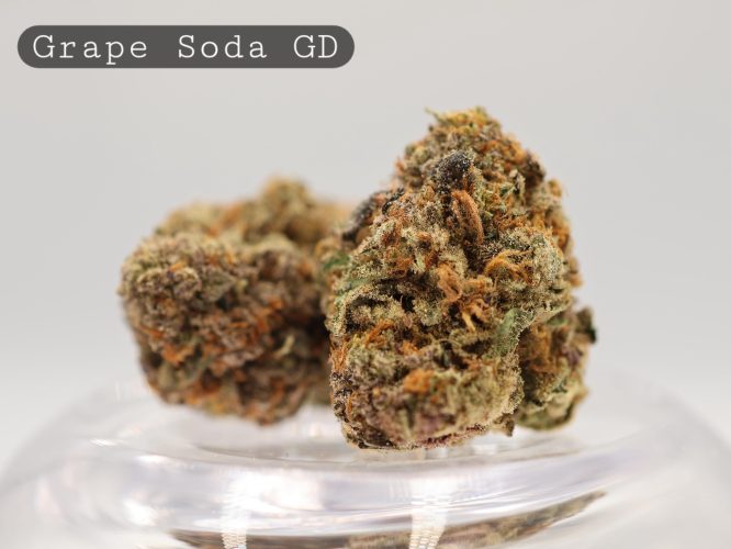 Greendoor-Grape-Soda_Cannabis-Flower_The-Dope-Warehouse