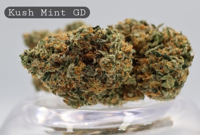 Greendoor-Kush-Mint_Cannabis-Flower_The-Dope-Warehouse